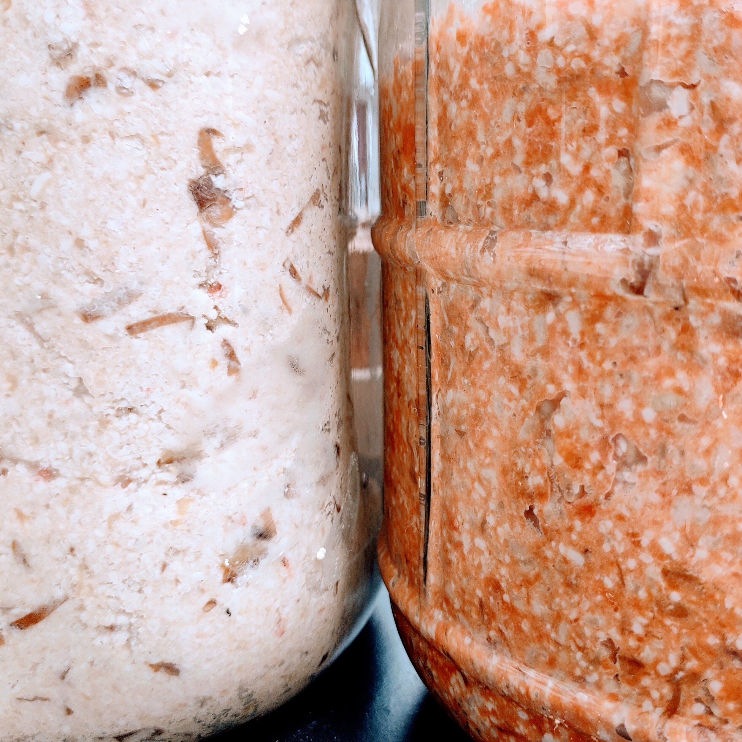 Learn to cook with koji - Image n°8 - Wecandoo