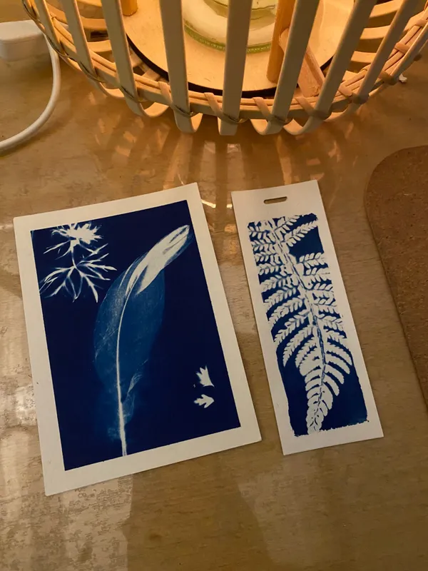 Make your own vegetal prints with cyanotype in Brussels
