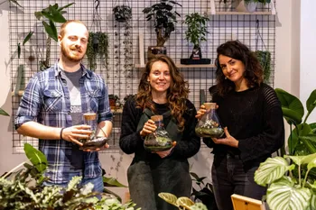 Créez votre petit terrarium à Bruxelles