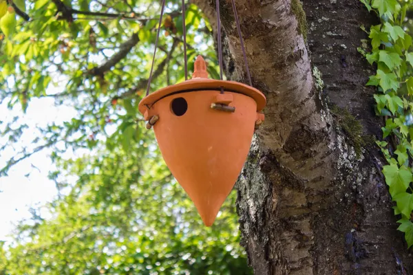 Modelez votre nichoir à oiseaux à Caen