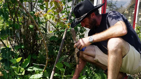 Initiez-vous à la permaculture à Pau