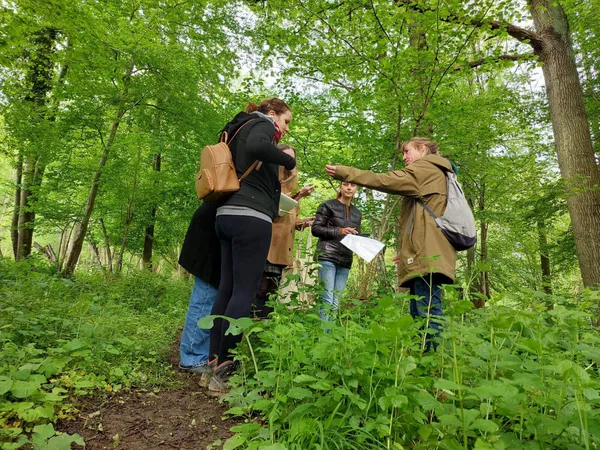 Découvrez les plantes sauvages locales en balade à Paris