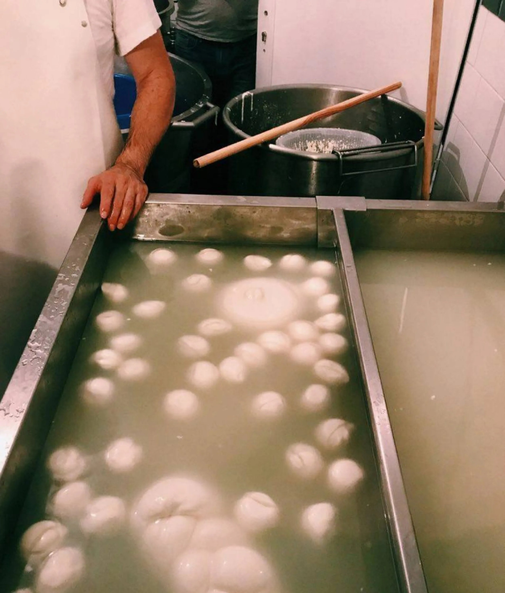 Fabriquez votre mozzarella et votre tresse artisanales avec Julien et son équipe - Image n°10 - Wecandoo