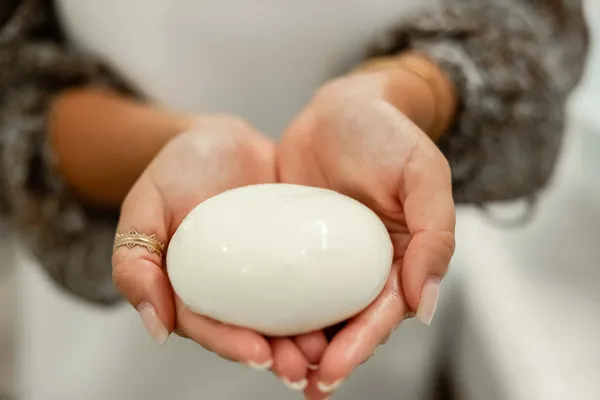 Fabriquez votre mozzarella et votre tresse