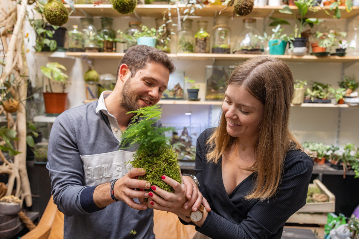 Fabriquez votre Kokedama - Image n°3 - Wecandoo