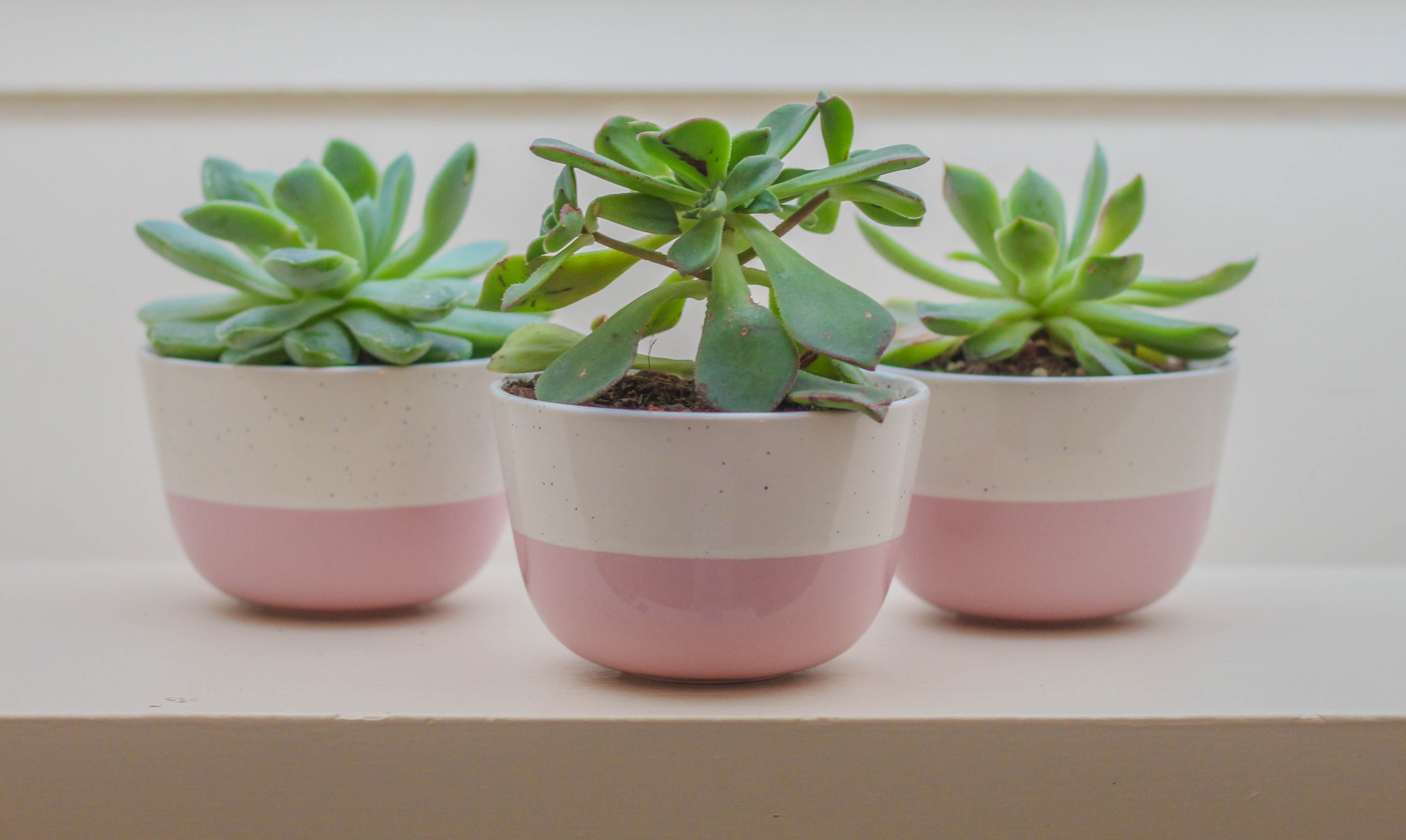 Design and decorate your ceramic flowerpot - Image n°5 - Wecandoo