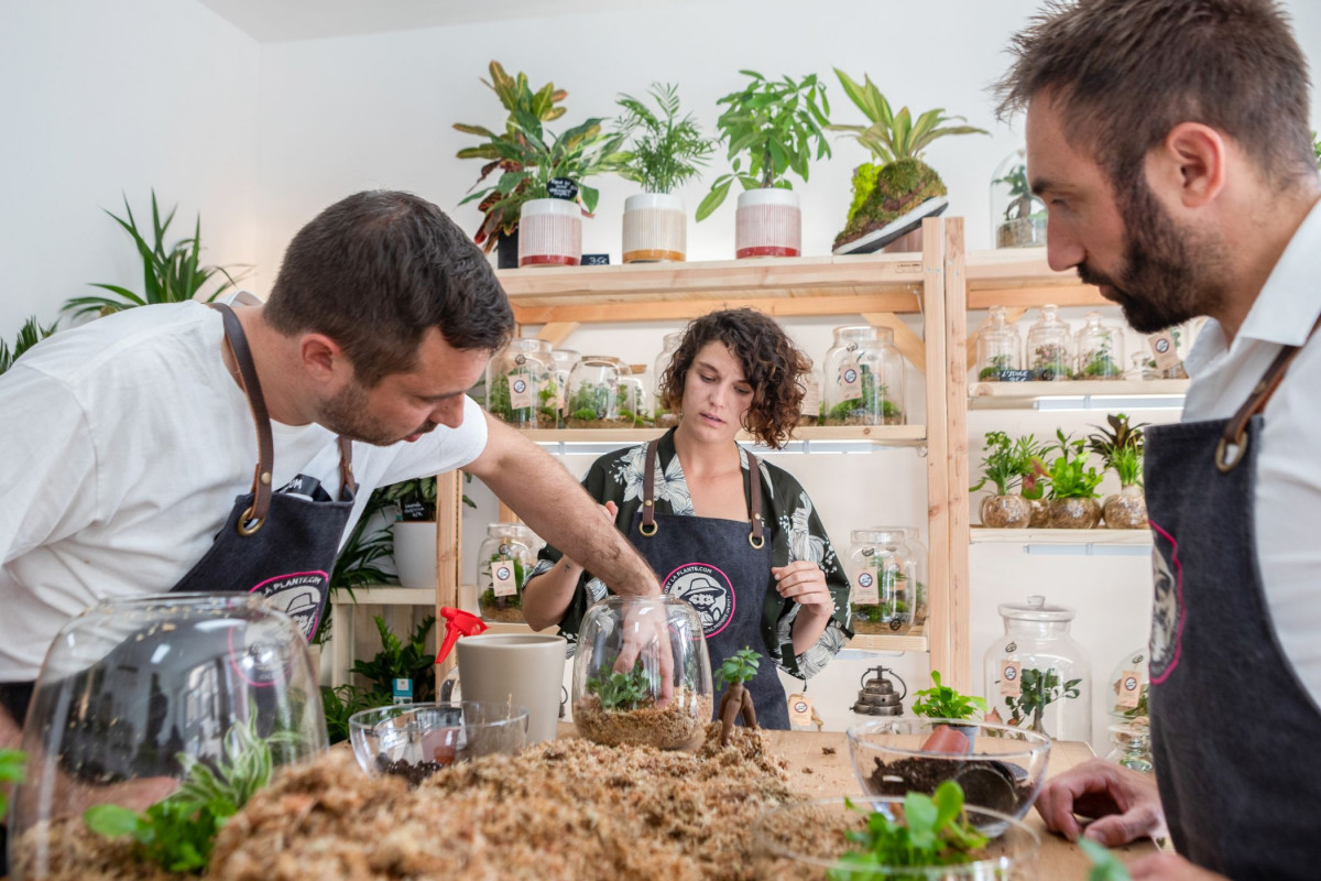 Créez votre terrarium (Taille M) avec Smaïn, Benjamin et Roxane - Image n°1 - Wecandoo