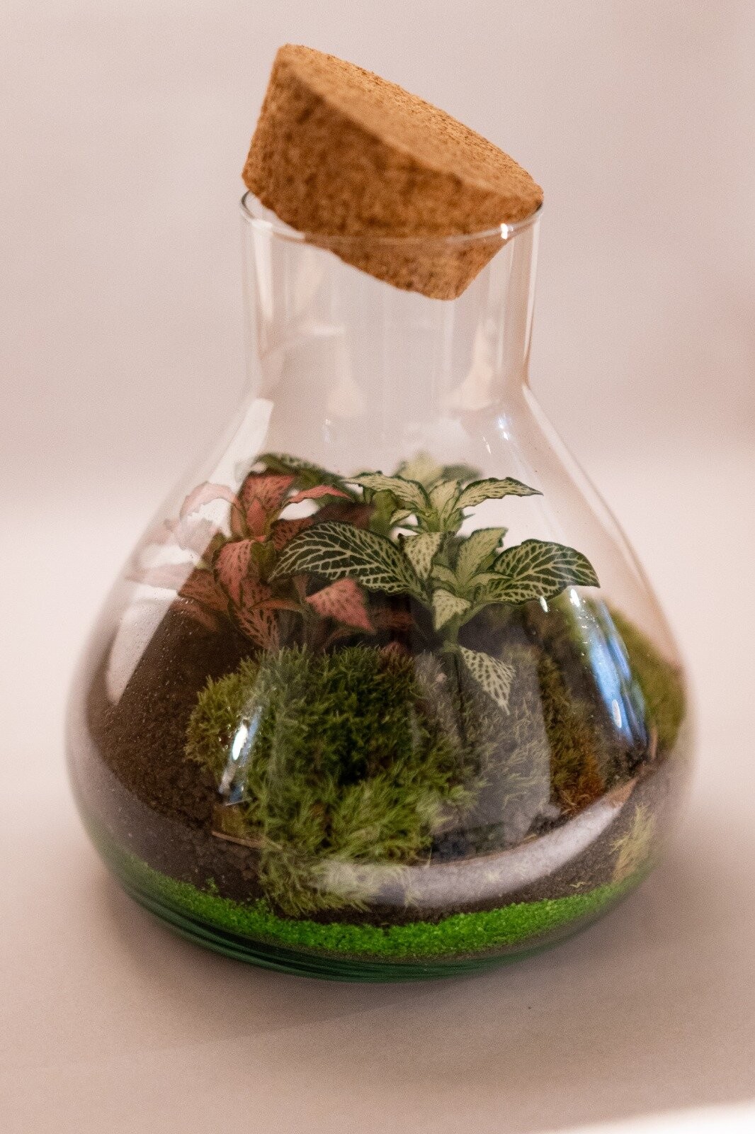 Create your own small terrarium - Afbeelding nr. 6 - Wecandoo